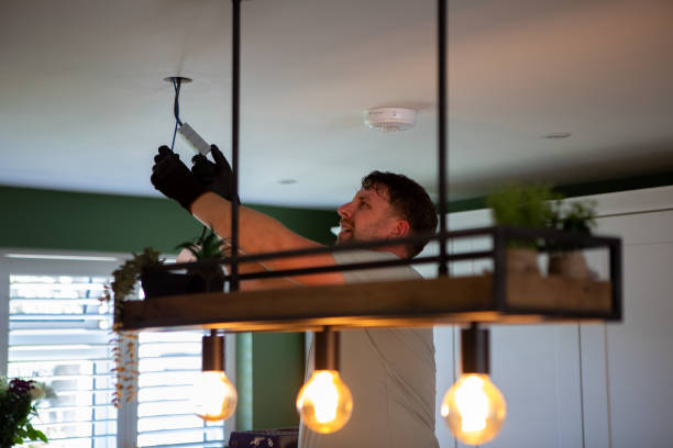 Best Electric Panel Repair  in Montgomery, IL